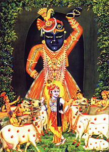 Shrinathji Gwal Darshan