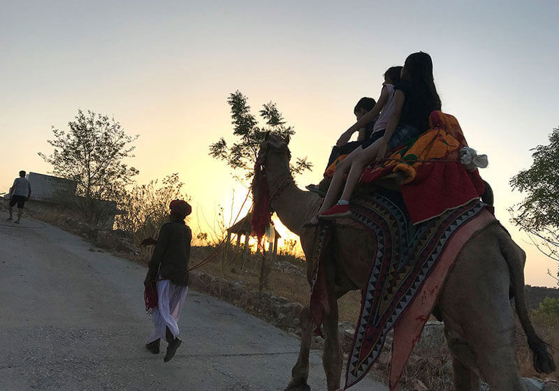 Shrinath Green Valley camel ride